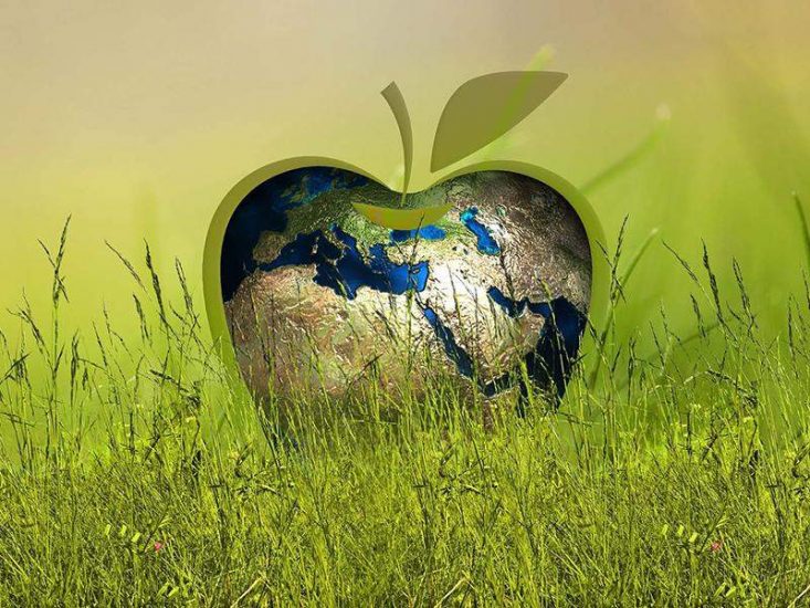 A green apple with an earth globe inside of it.