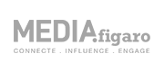 A gray and white logo for media. Figge